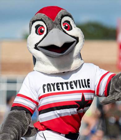 Fayetteville Woodpeckers Proud Partner