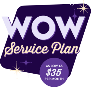 Graphic spotlighting the $35/month service plan. 